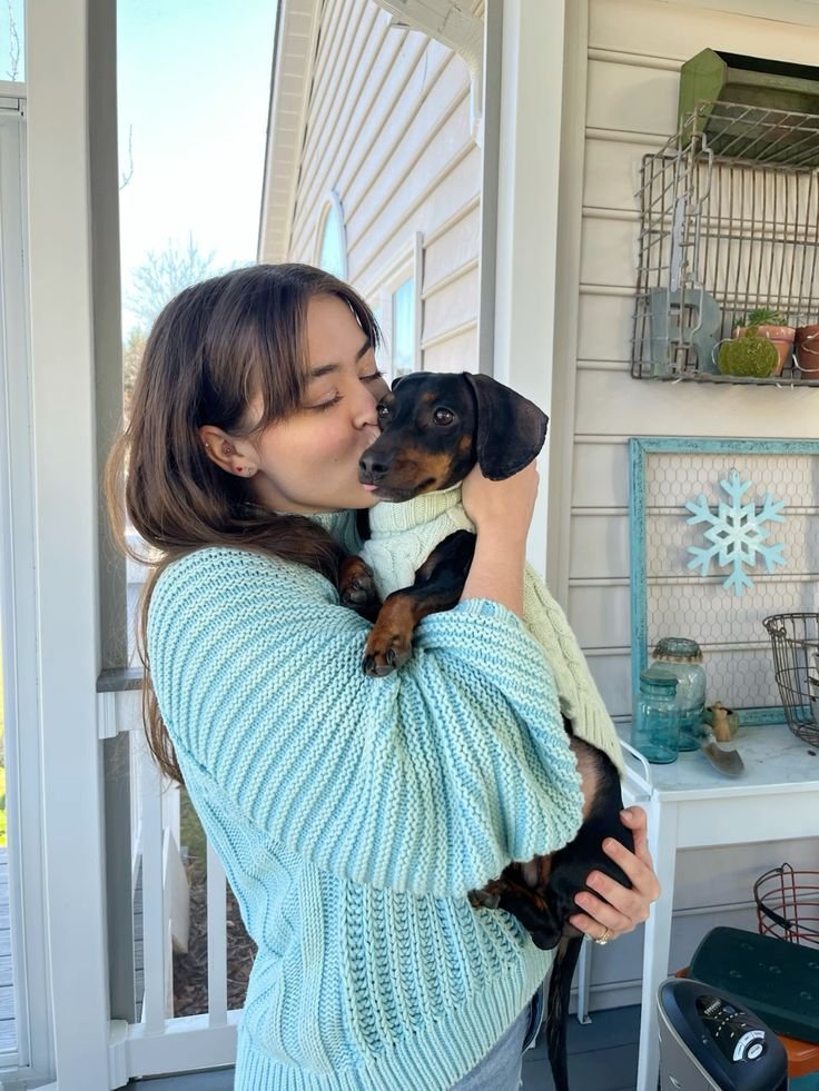 Contact RoyalDachshund about a puppy