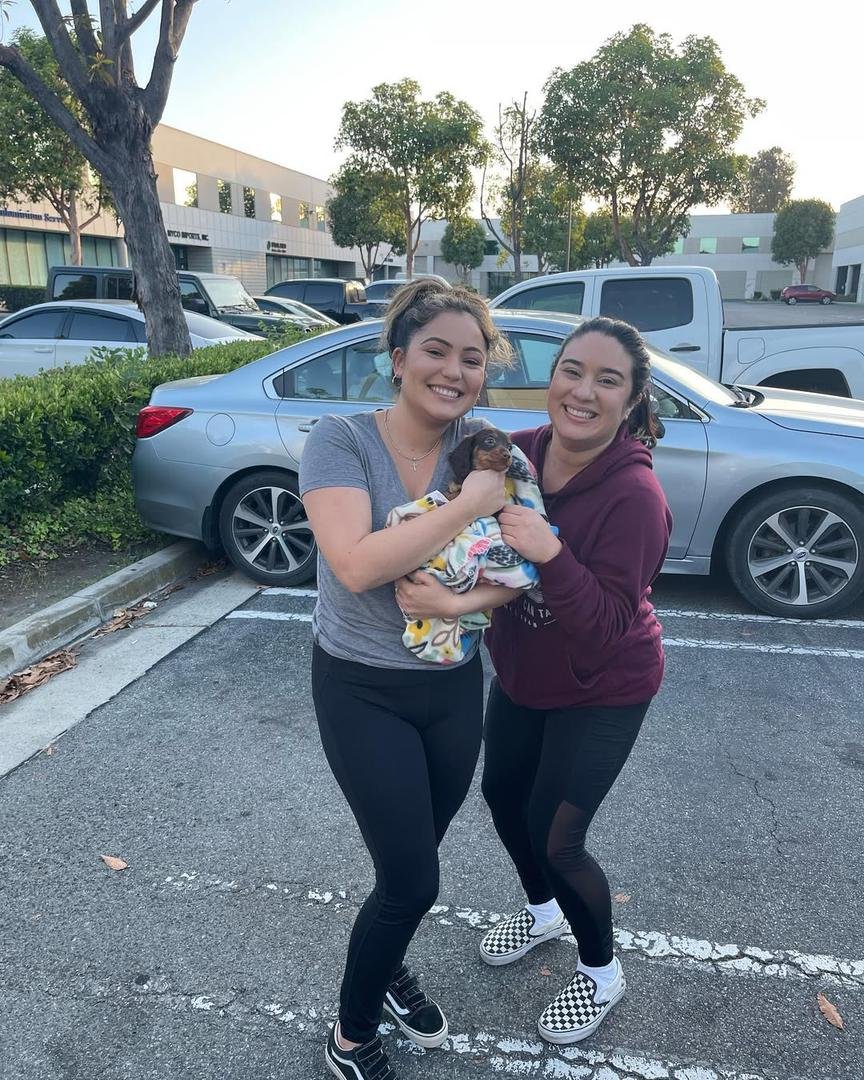 Happy customer after adopting a healthy Dachshund puppy