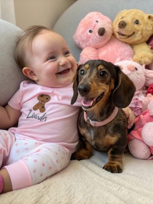 Jane Smith smiling with her RoyalDachshund Dachshund puppy